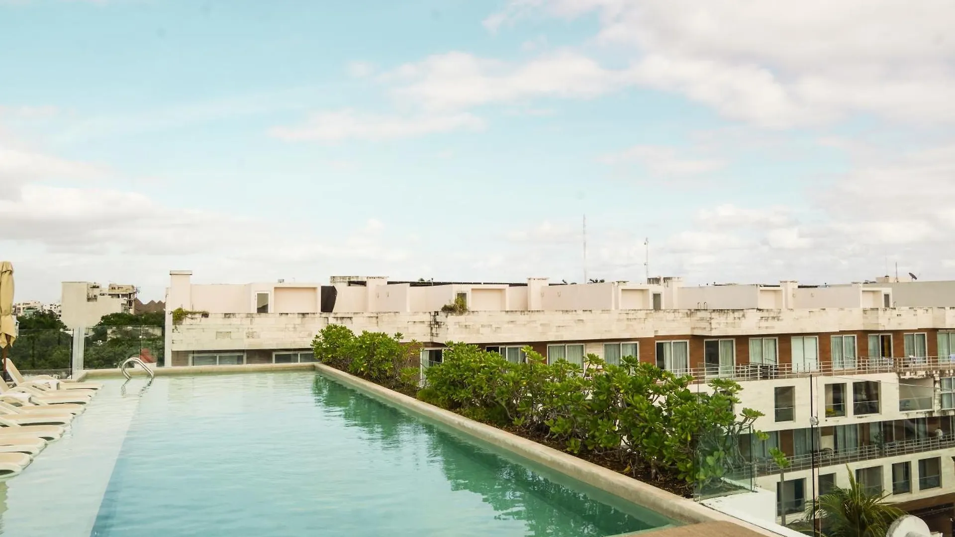 Penthouse Terrace Excellet Wifi Downtown Daire Playa del Carmen