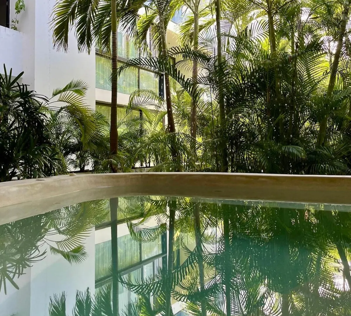Penthouse Terrace Excellet Wifi Downtown Apartment Playa del Carmen