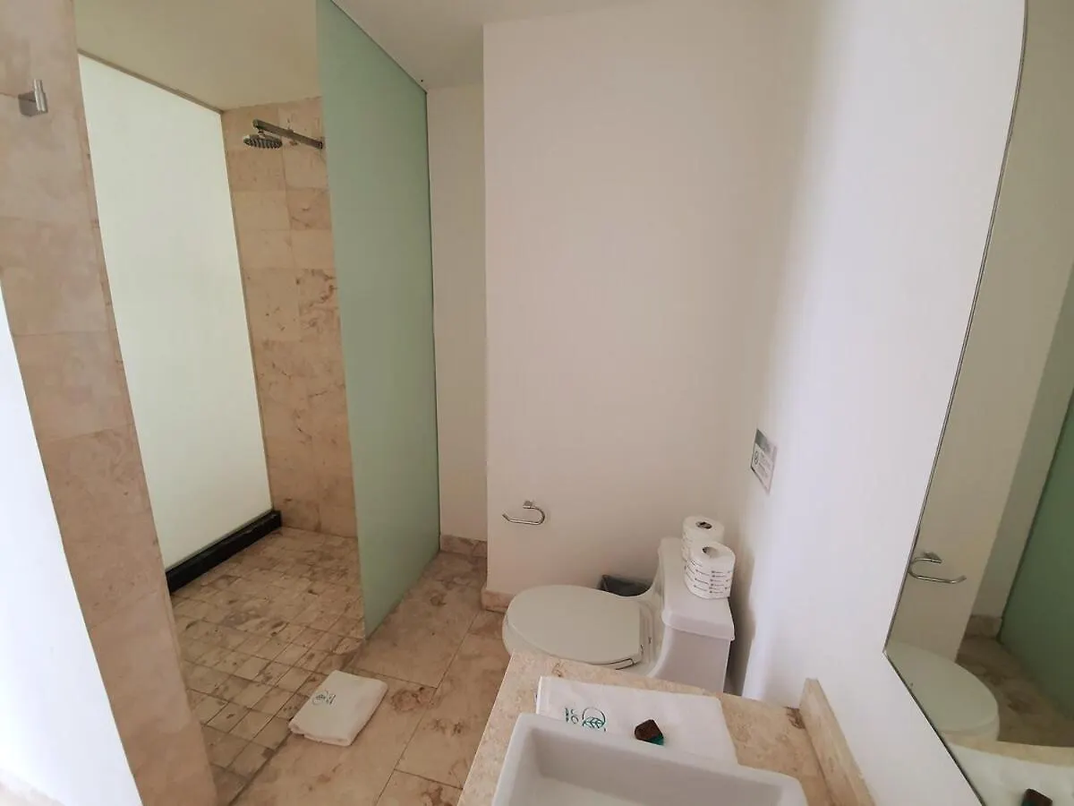Penthouse Terrace Excellet Wifi Downtown Apartment Playa del Carmen 0*,