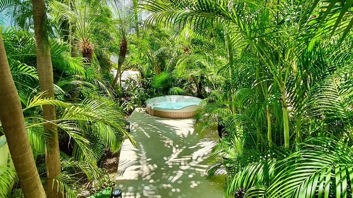 Penthouse Terrace Excellet Wifi Downtown Apartment Playa del Carmen