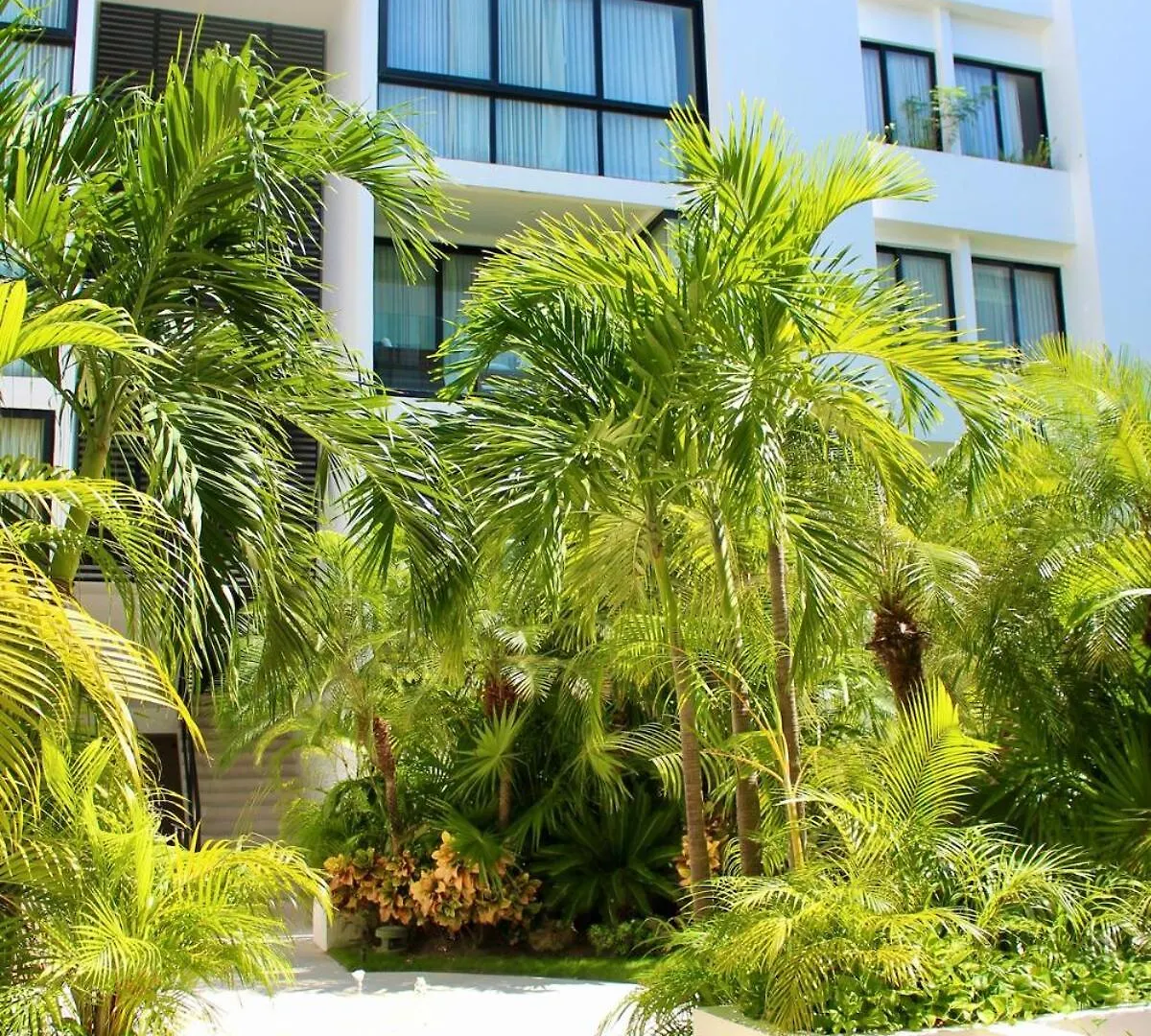 Penthouse Terrace Excellet Wifi Downtown Apartment Playa del Carmen 0*,