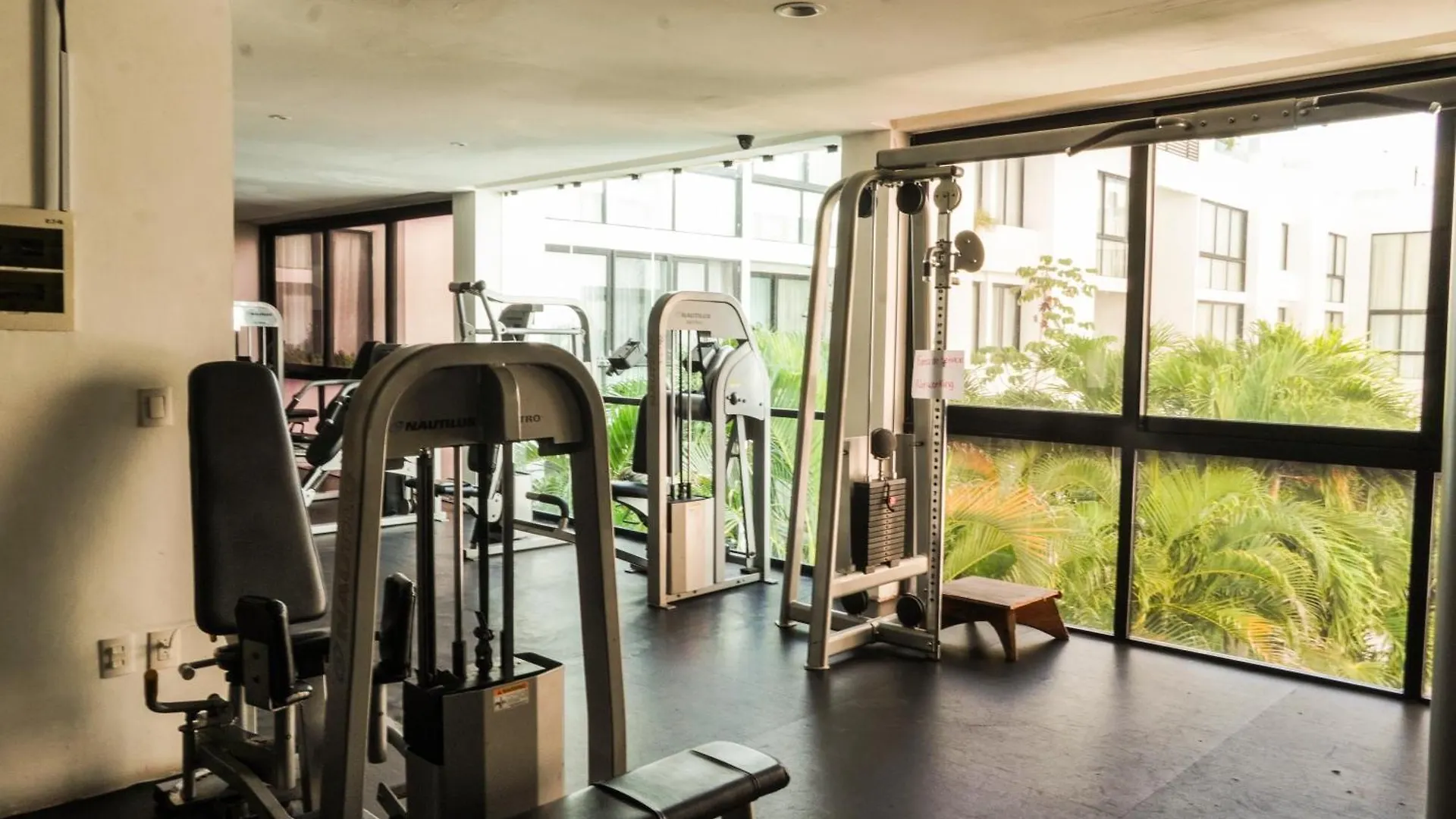 Penthouse Terrace Excellet Wifi Downtown Apartment Playa del Carmen Mexico